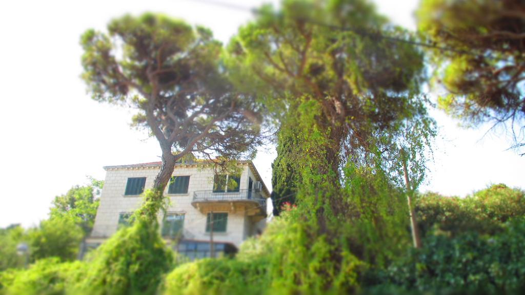 Apartment Dubrovnik Surprise エクステリア 写真
